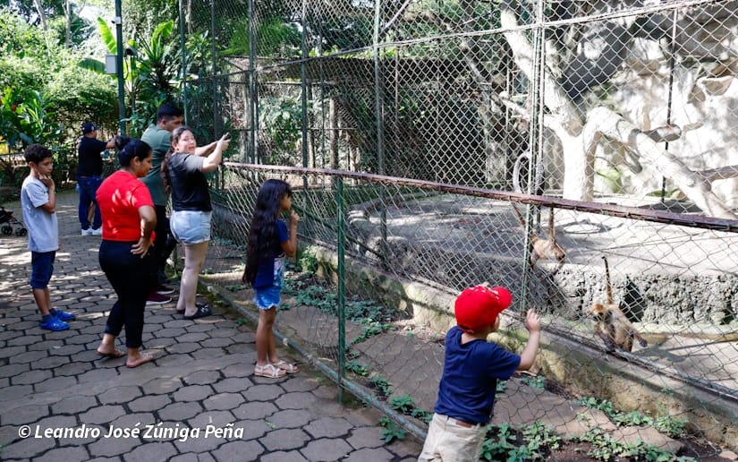 ZOOLOGICO-NACIONAL--(39)