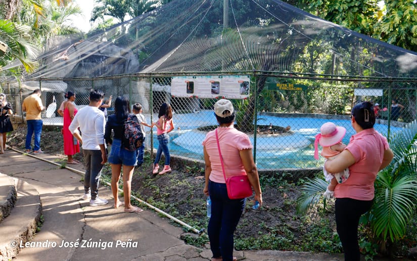 ZOOLOGICO-NACIONAL--(41)