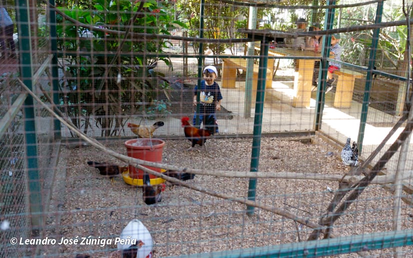 ZOOLOGICO-NACIONAL--(6)