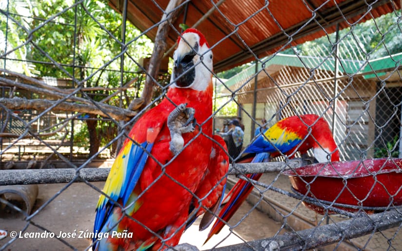 ZOOLOGICO-NACIONAL--(9)