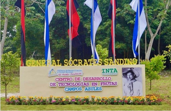 INTA1