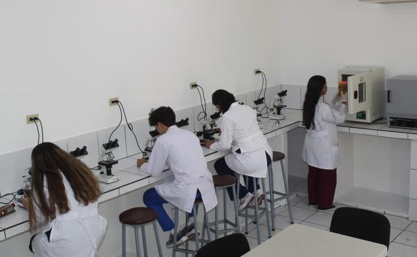 LABORATORIO6