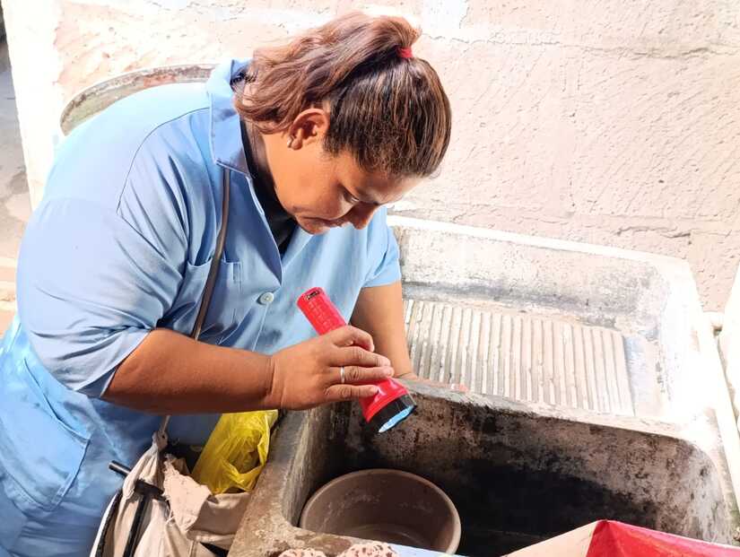 Brigadas-de-fumigacion-2