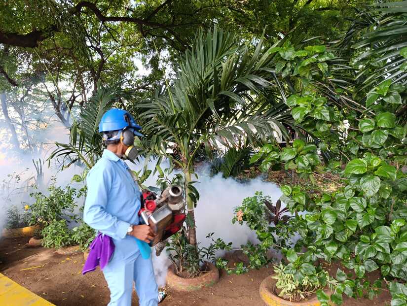 Brigadas-de-fumigacion-8