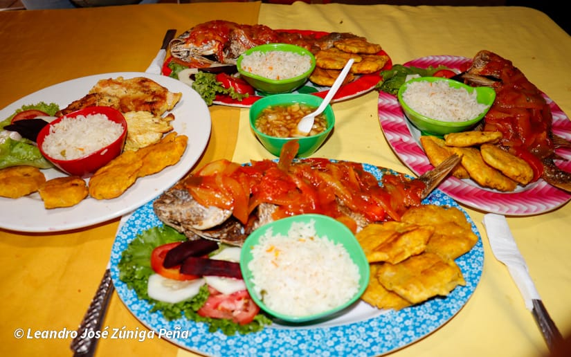 VACACIONES-PATRIA--(26)