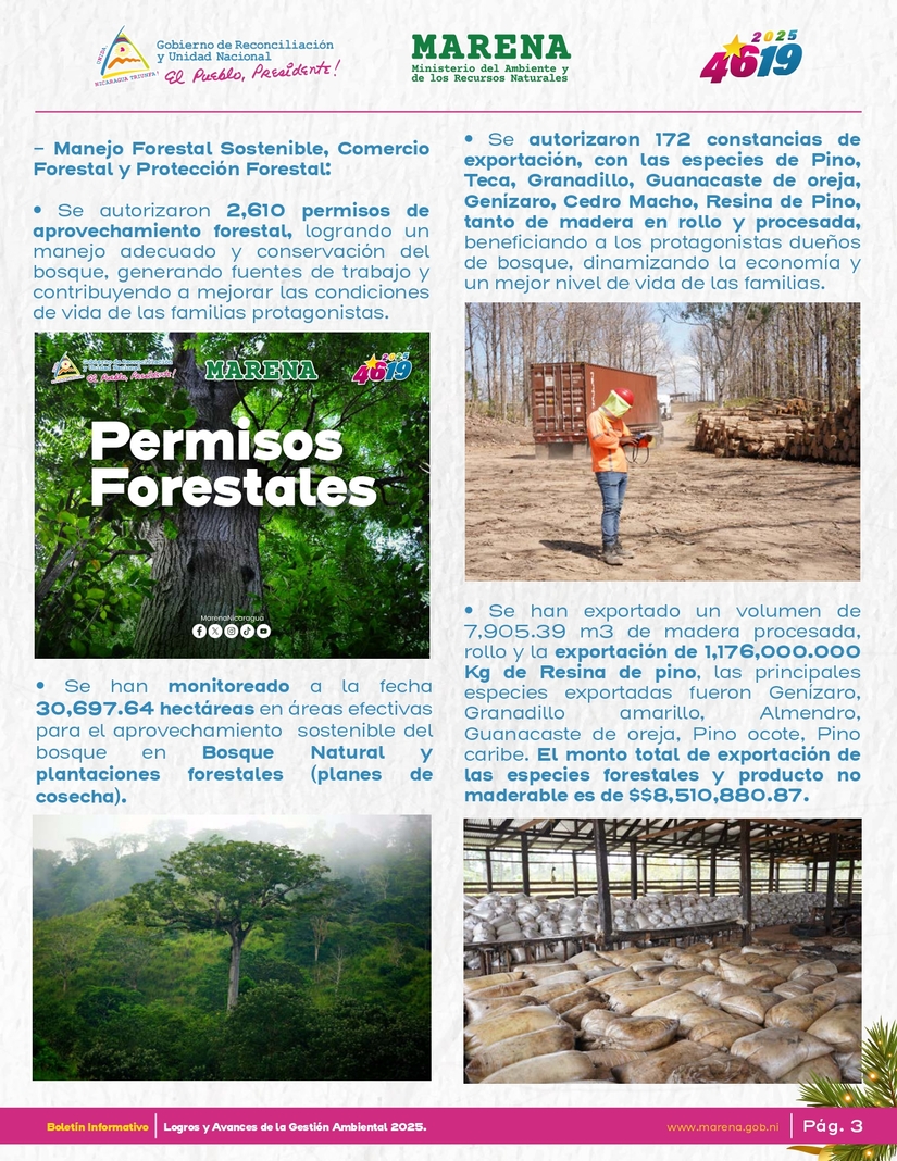 Gestion-Ambiental-4