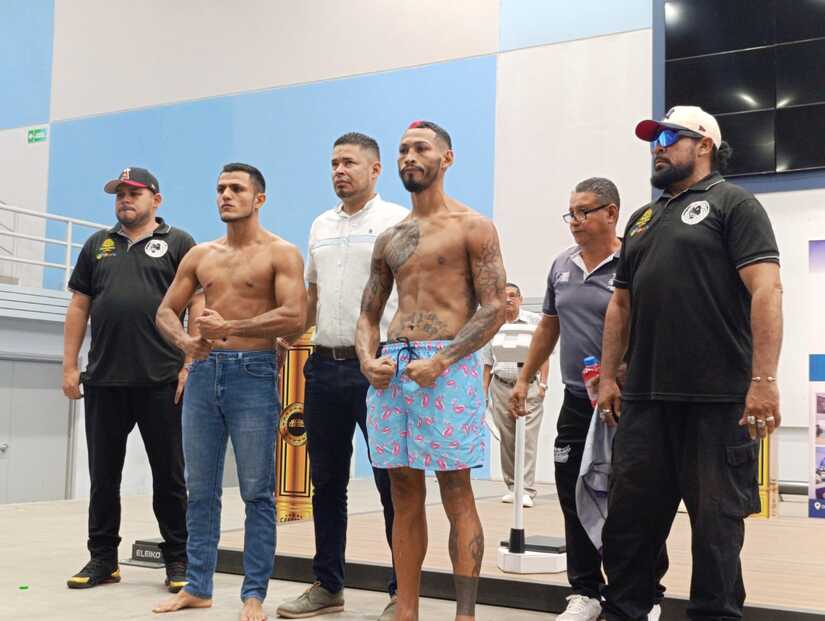 BOXEO8