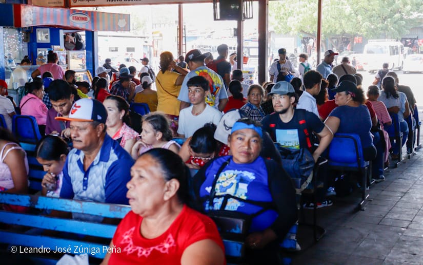 Mercado-Mayoreo--(15)