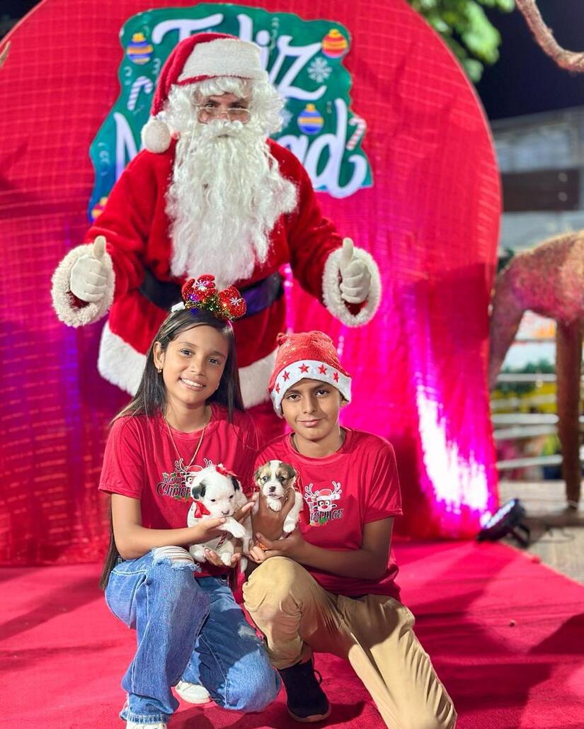 Pasarela-de-Mascotas-5