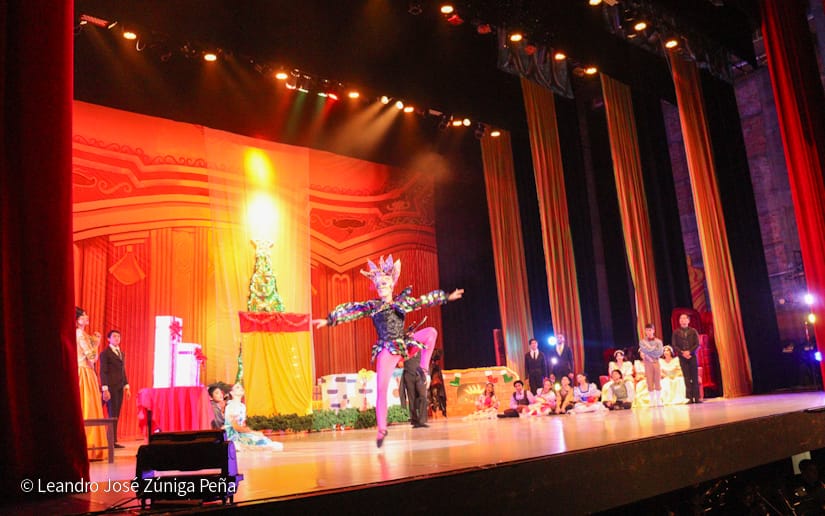 El-Cascanueces--(20)