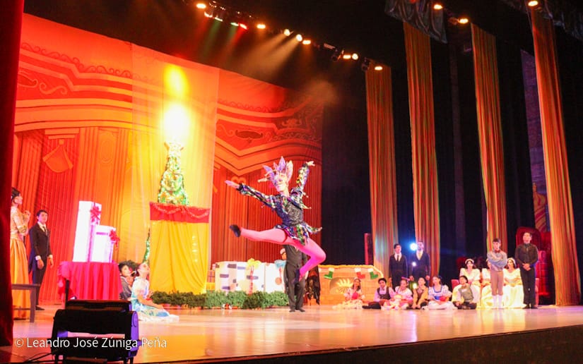 El-Cascanueces--(21)