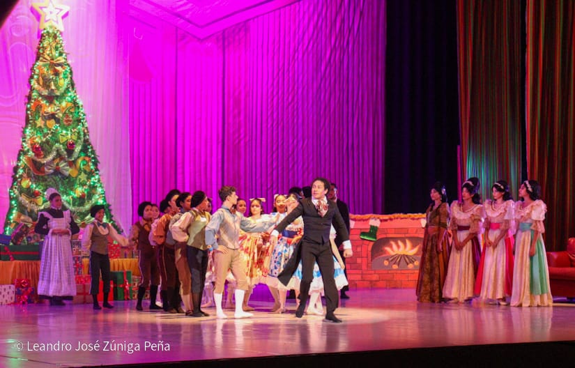 El-Cascanueces--(34)