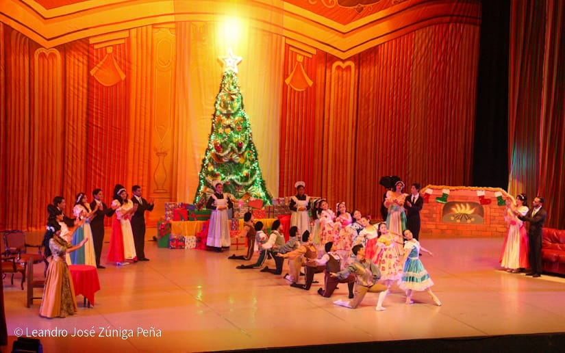 El-Cascanueces--(49)