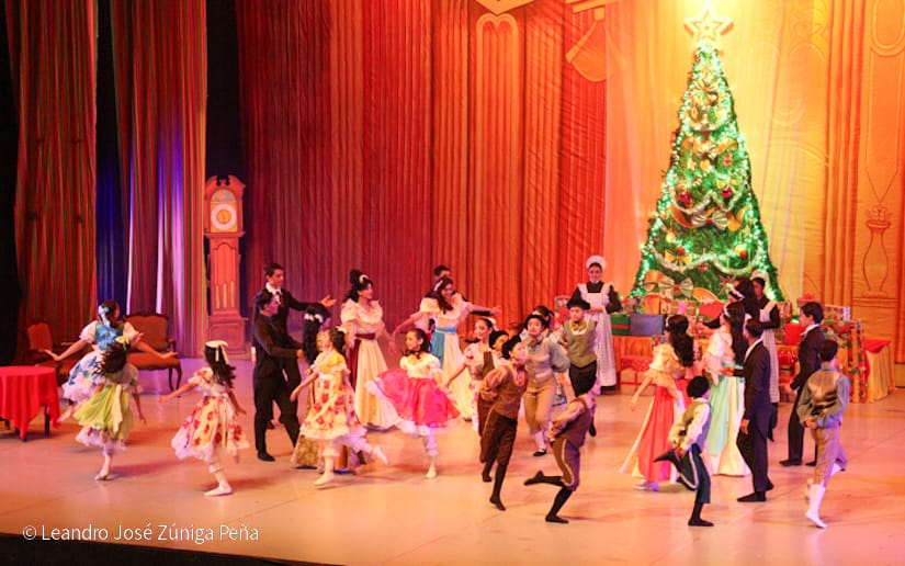 El-Cascanueces--(62)