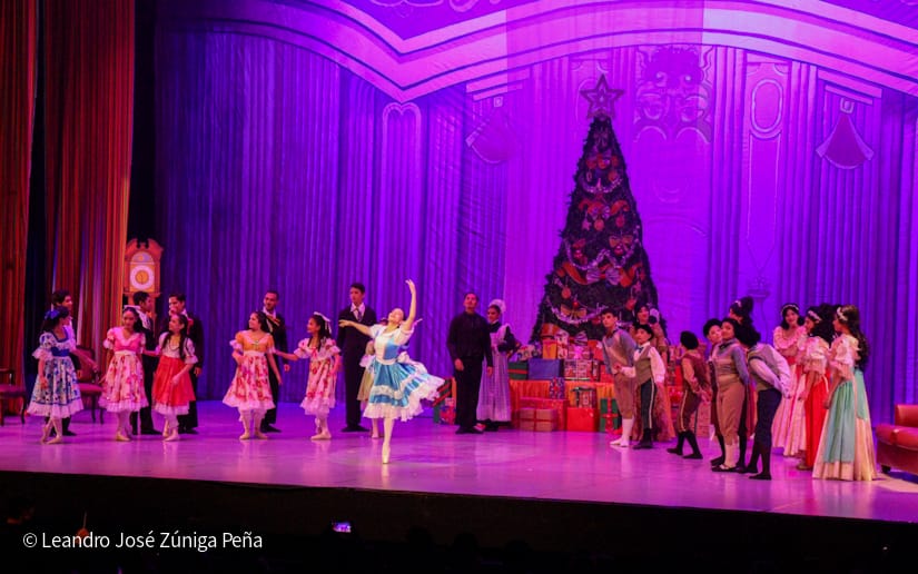 El-Cascanueces--(66)