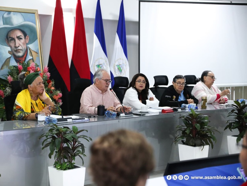 Asamblea-Nacional--(15)