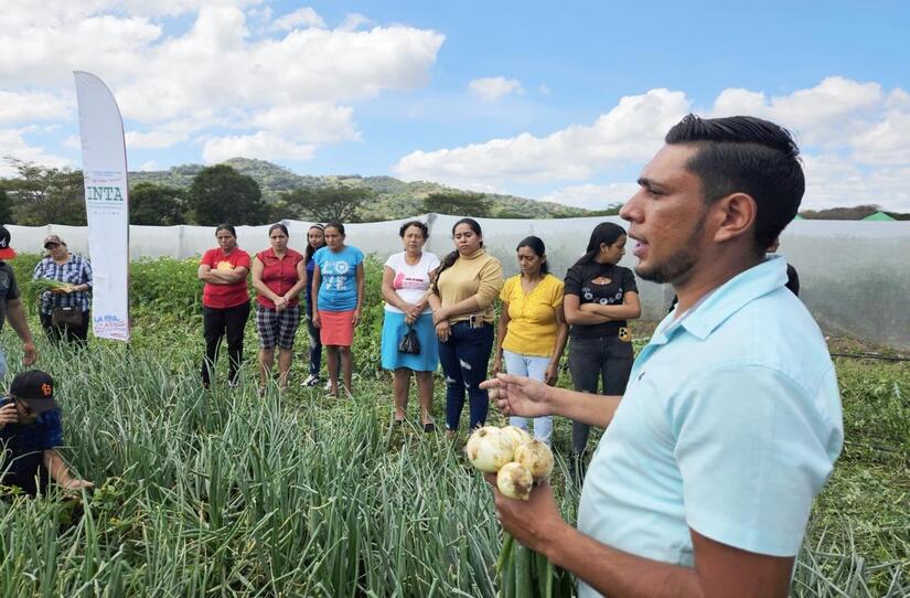 Productores-de-Cebolla3