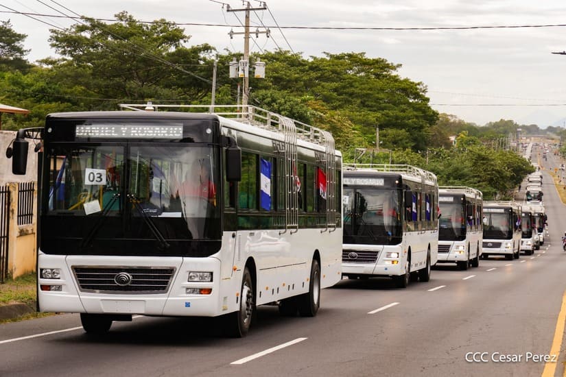 BUSES-(6)