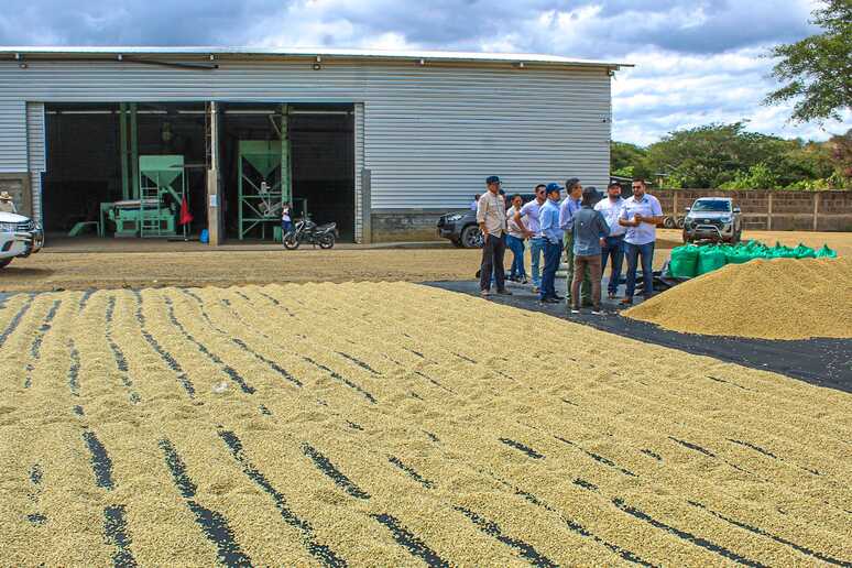 1235b323-b30d-455d-a54b-8befeb7842c4