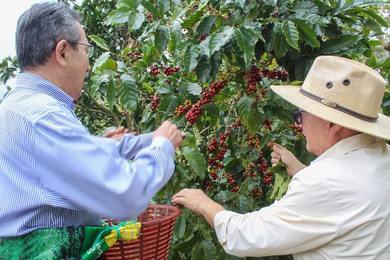 93330f8e-5e21-4f5c-836f-dfecc61ab234