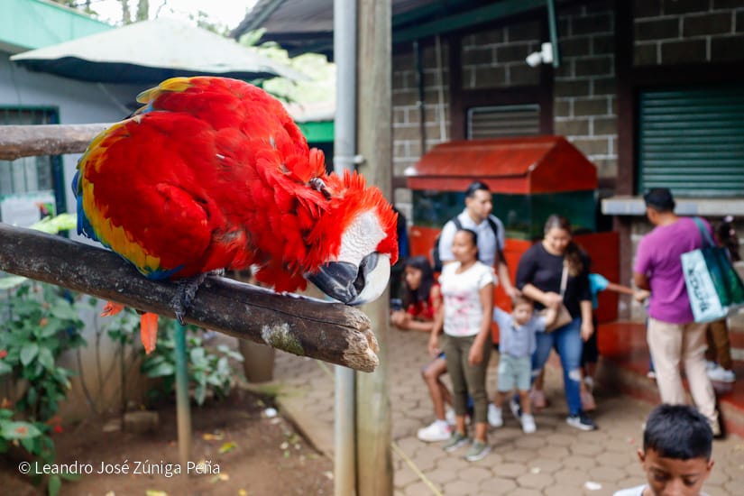 Zoologico-Nacional-(20)