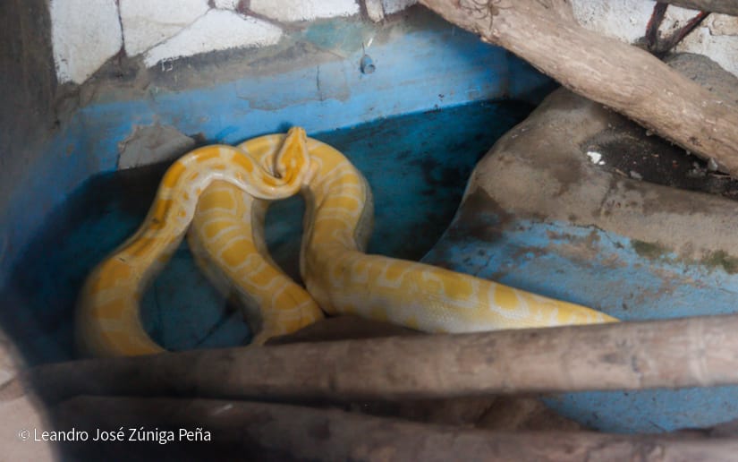 Zoologico-Nacional-(30)