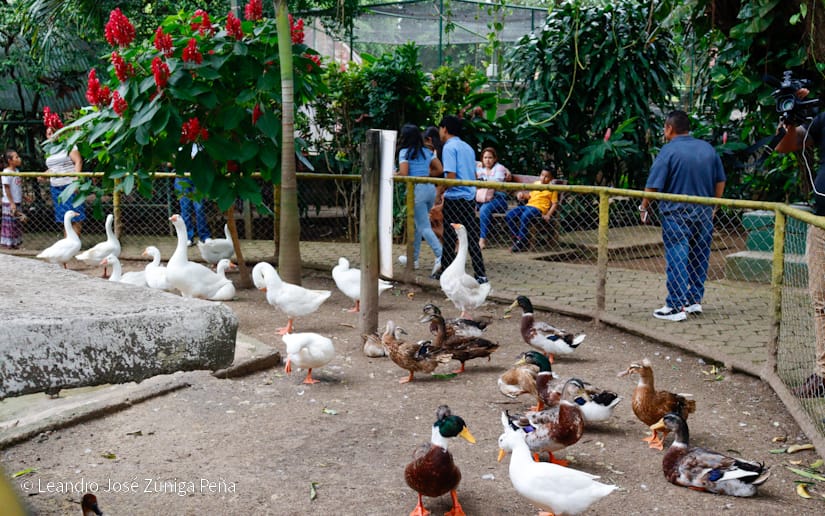 Zoologico-Nacional-(9)-(1)