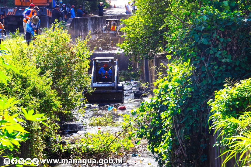 LIMPIEZA-DE-CAUSES-13