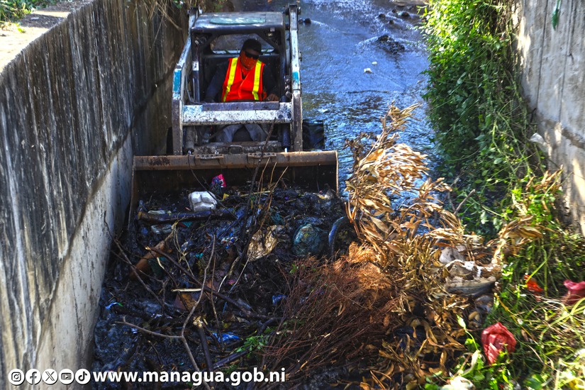 LIMPIEZA-DE-CAUSES-14