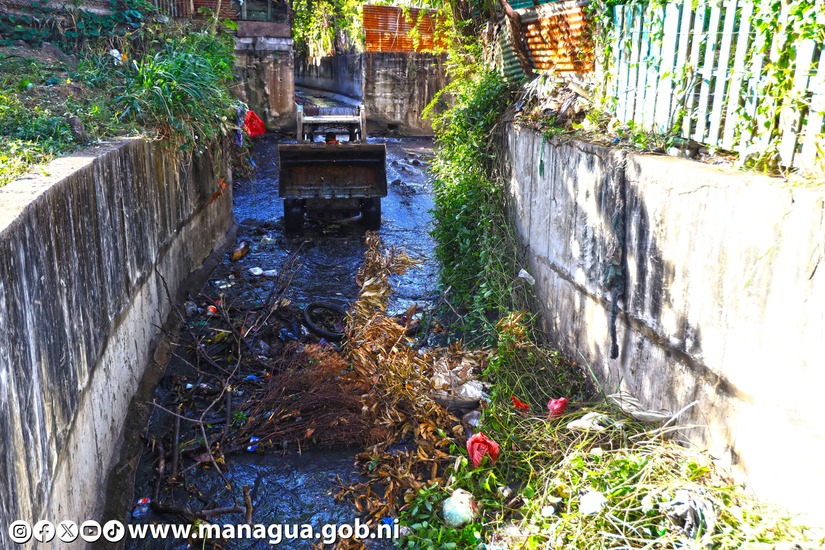 LIMPIEZA-DE-CAUSES-16