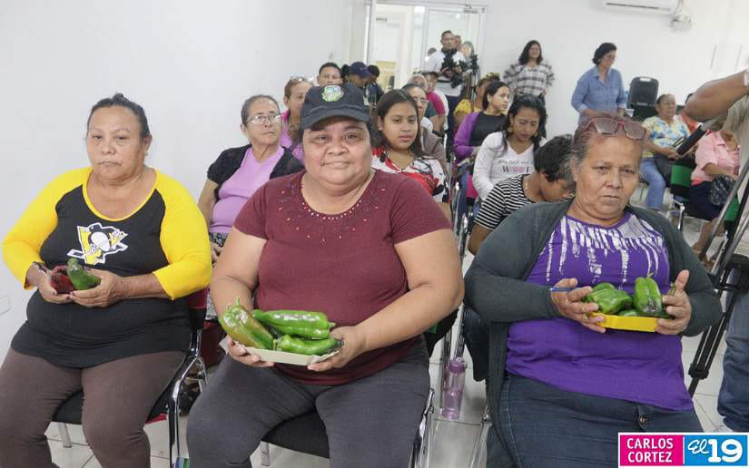 Nueva-variedad-de-chiltoma-6