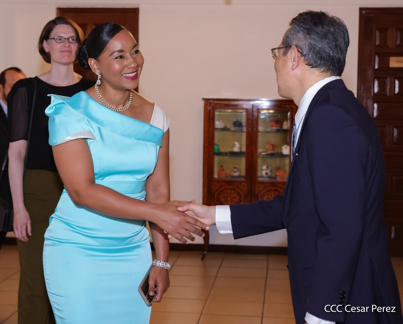 Dia-de-la-Amistad-con-Japon-(12)