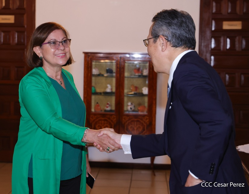 Dia-de-la-Amistad-con-Japon-(23)