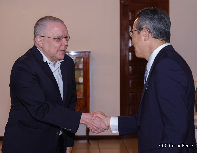 Dia-de-la-Amistad-con-Japon-(29)