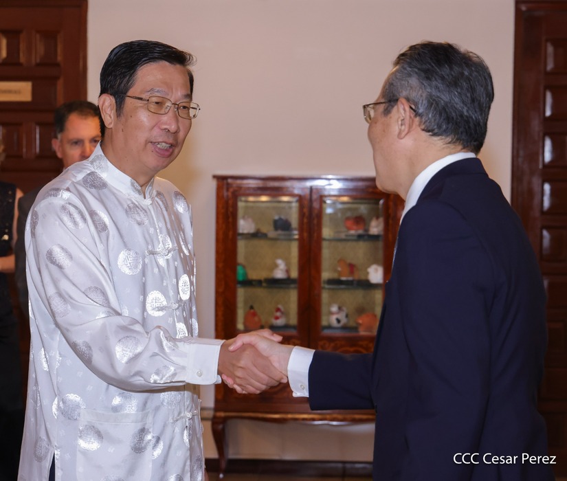 Dia-de-la-Amistad-con-Japon-(31)