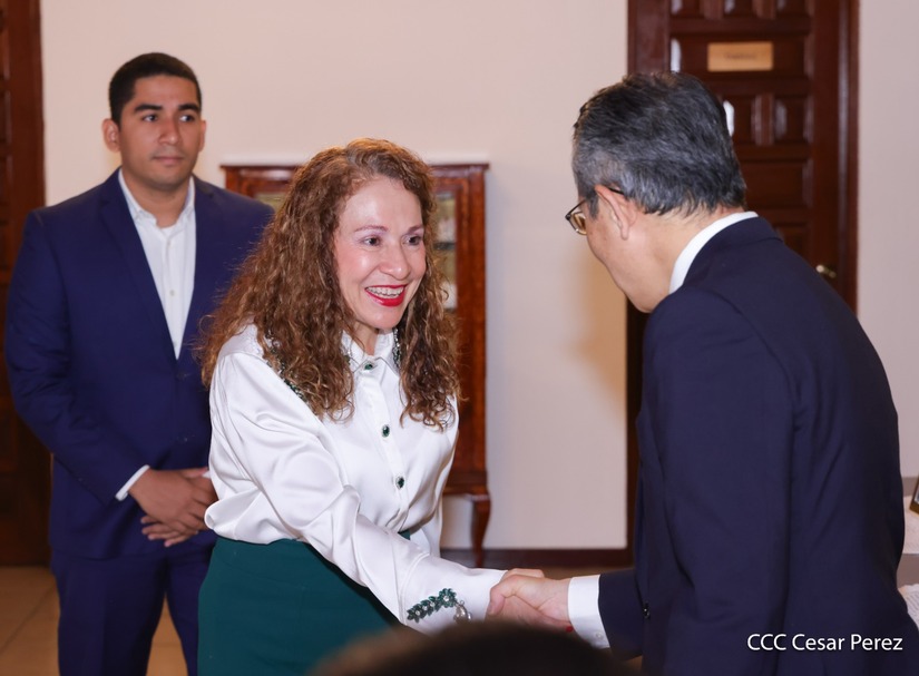 Dia-de-la-Amistad-con-Japon-(34)