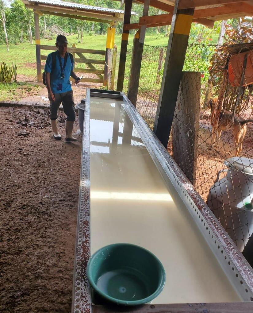 PRODUCCION-DE-LECHE-(6)