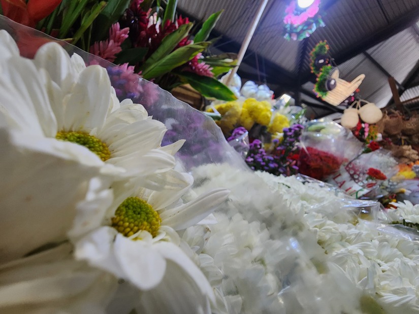 Mercado-Roberto-Huembes-11