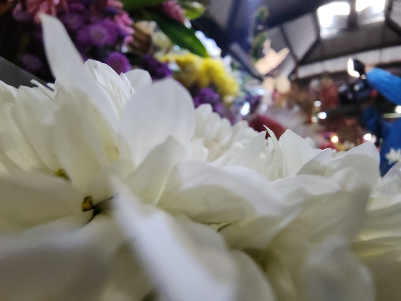 Mercado-Roberto-Huembes-12