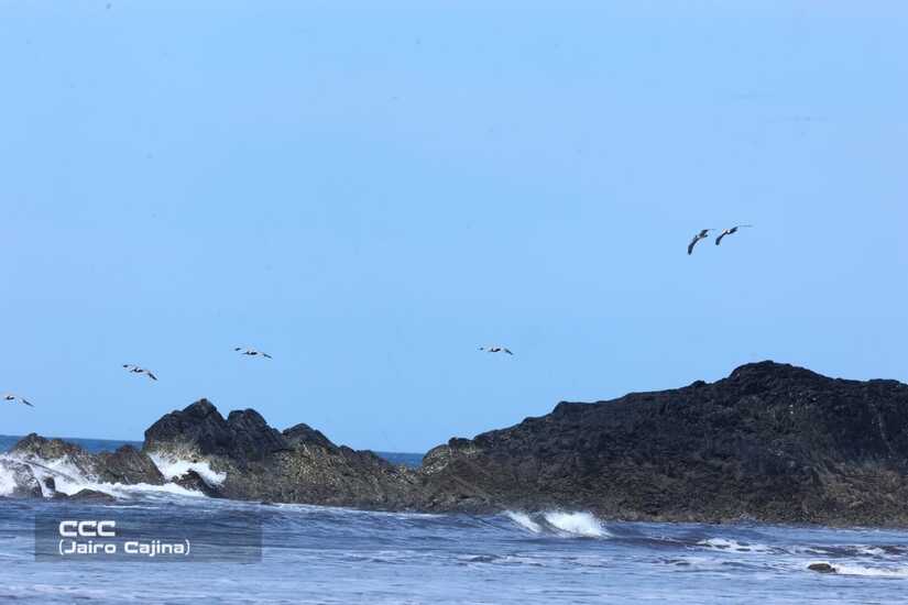 Torneo-Nacional-de-Surf-(35)