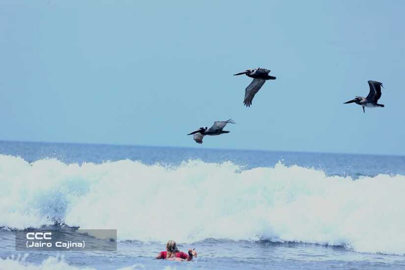 Torneo-Nacional-de-Surf-(7)
