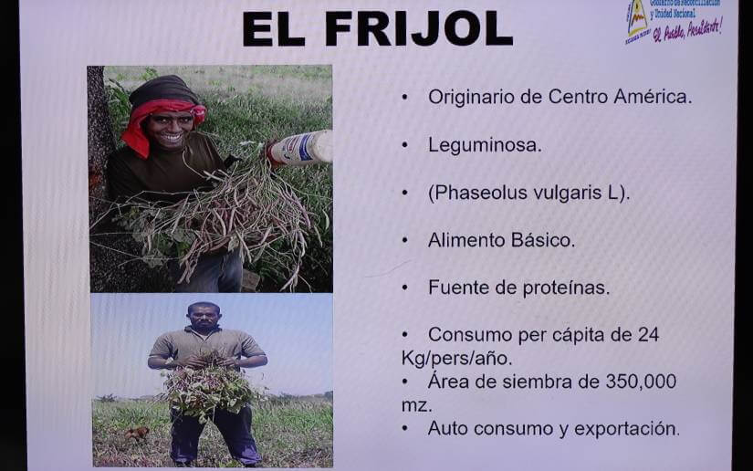inta-tallerfrijol-8