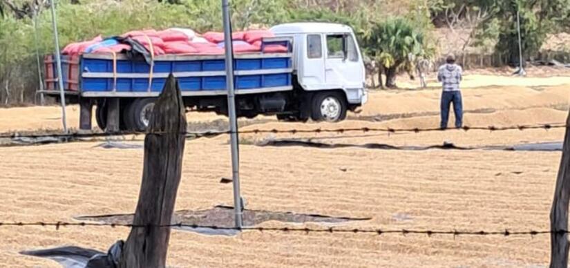 -Ministerio-Agropecuario,-MAG-(2)