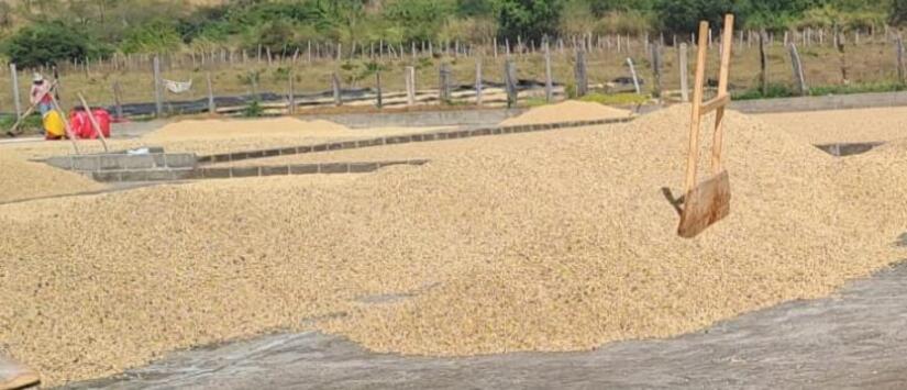 -Ministerio-Agropecuario,-MAG-(3)