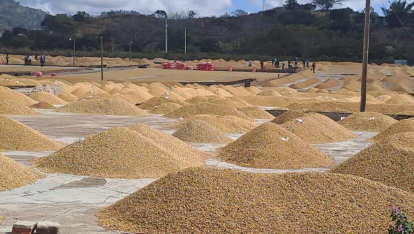 -Ministerio-Agropecuario,-MAG-(4)