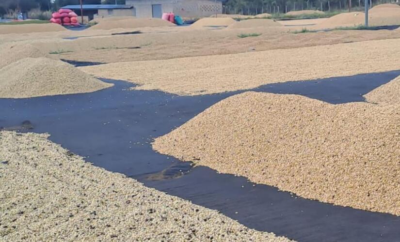 -Ministerio-Agropecuario,-MAG-(5)