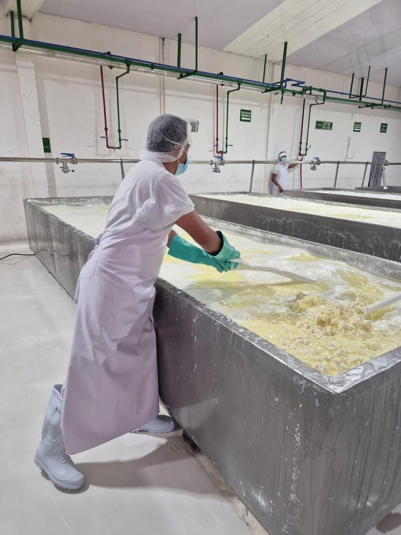 Queso-de-exportacion-Nicaragua-1