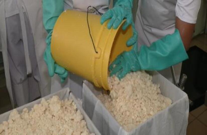 Queso-de-exportacion-Nicaragua-3