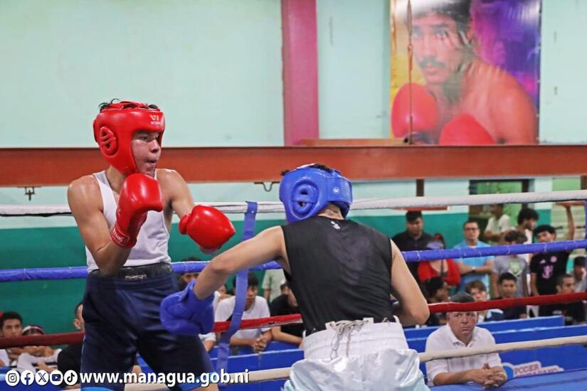 BOXEO7