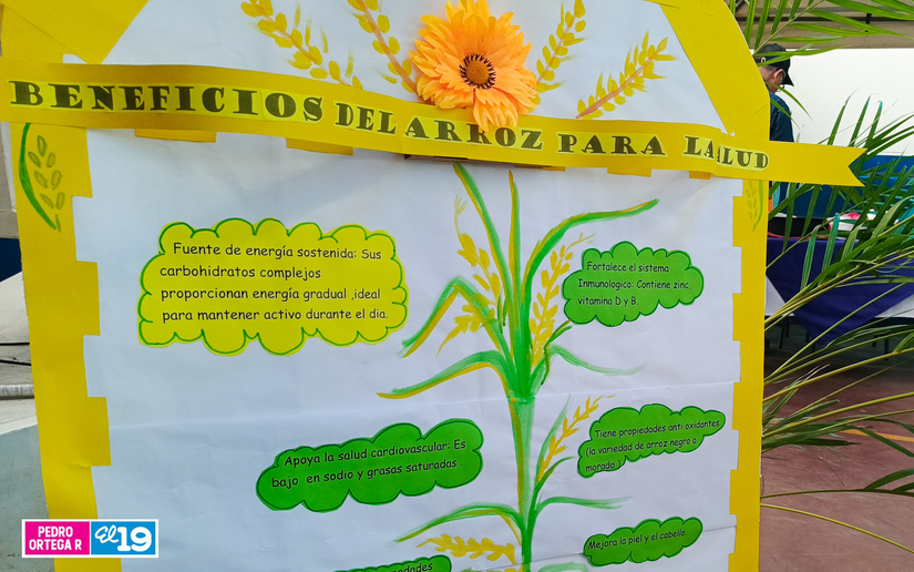 FESTIVAL-DE-LOS-ARROCES-2